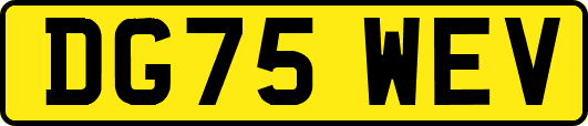 DG75WEV