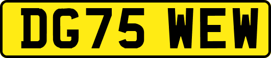 DG75WEW