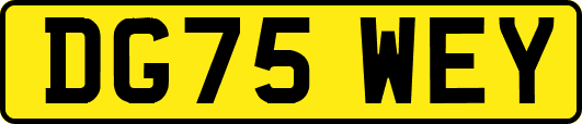 DG75WEY