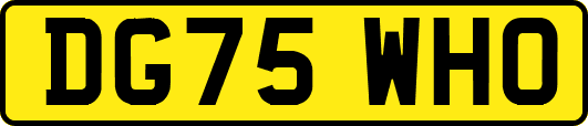 DG75WHO