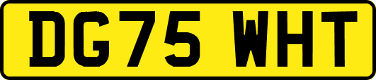 DG75WHT