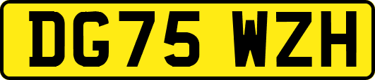 DG75WZH