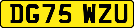 DG75WZU