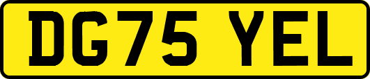 DG75YEL