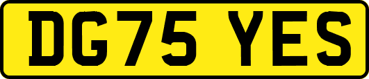 DG75YES