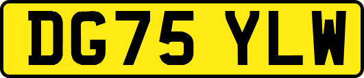 DG75YLW