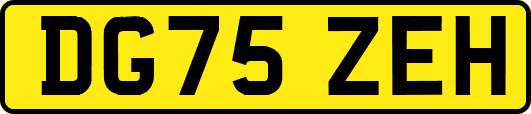 DG75ZEH