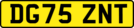 DG75ZNT