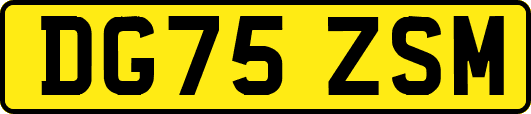 DG75ZSM