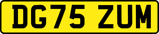 DG75ZUM