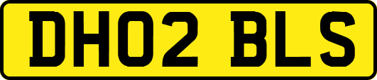 DH02BLS