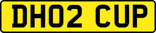 DH02CUP