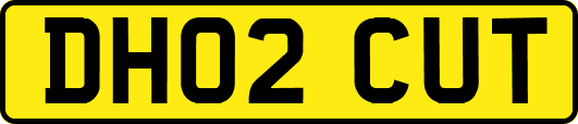 DH02CUT
