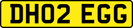 DH02EGG
