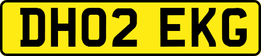 DH02EKG