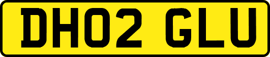 DH02GLU