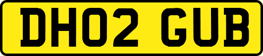 DH02GUB