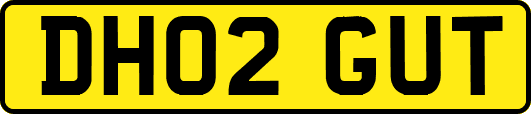 DH02GUT