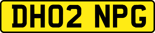 DH02NPG