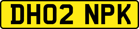 DH02NPK