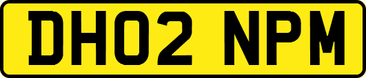 DH02NPM