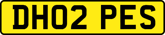 DH02PES