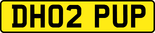 DH02PUP