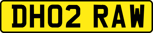 DH02RAW