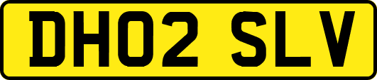 DH02SLV