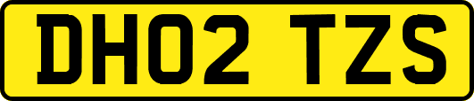 DH02TZS