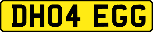 DH04EGG