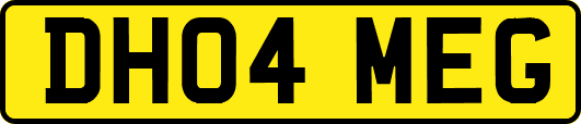 DH04MEG