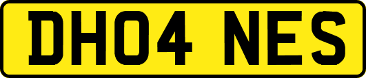 DH04NES
