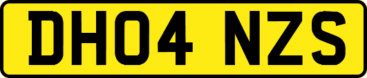 DH04NZS