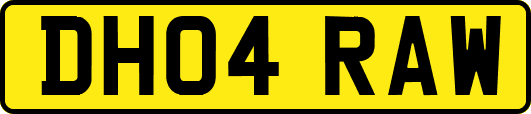 DH04RAW
