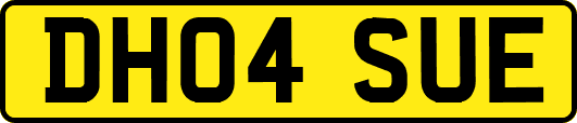 DH04SUE