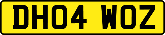 DH04WOZ