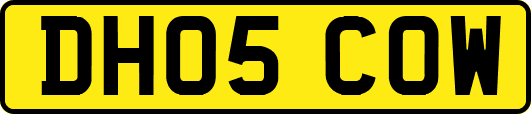 DH05COW