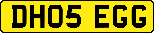DH05EGG