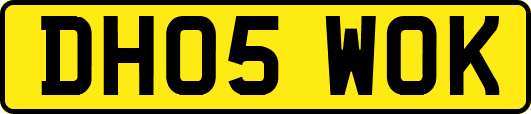 DH05WOK
