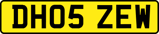 DH05ZEW