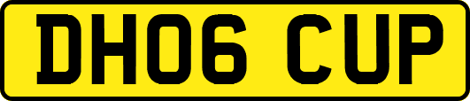 DH06CUP