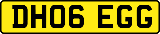 DH06EGG