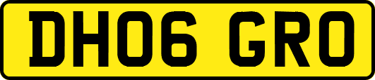 DH06GRO