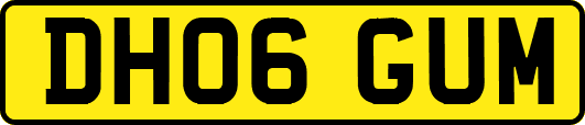 DH06GUM