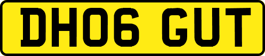 DH06GUT