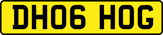 DH06HOG