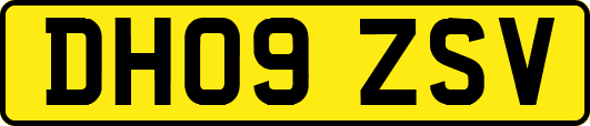 DH09ZSV