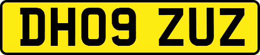 DH09ZUZ