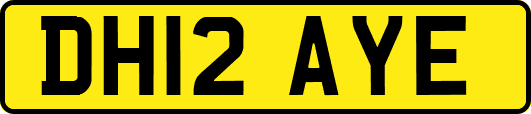 DH12AYE